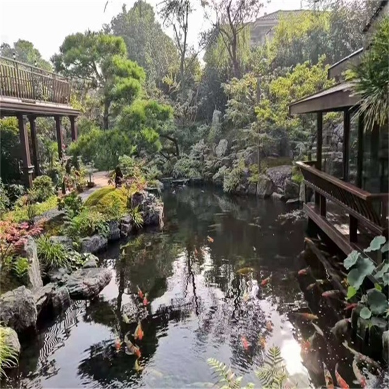 小庭院假山鱼池